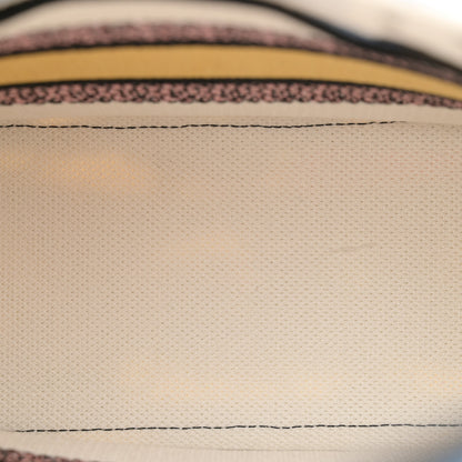 Christian Dior Canvas Embroidered Ciel De Reve Medium Lady D-Lite Latte Multicolor 5 of 11