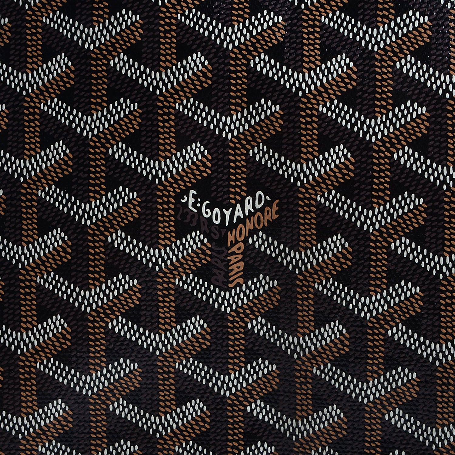 Goyard Goyardine Saint Louis PM Black 9 of 10
