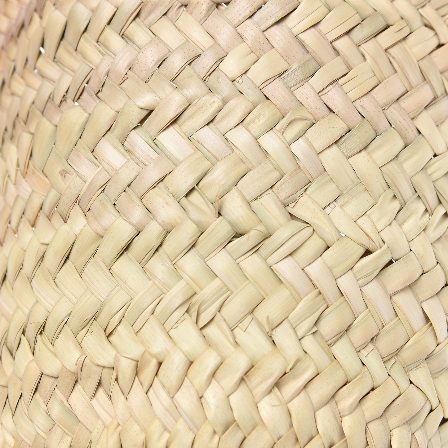 Raffia Small Basket Tote Bag Natural Tan