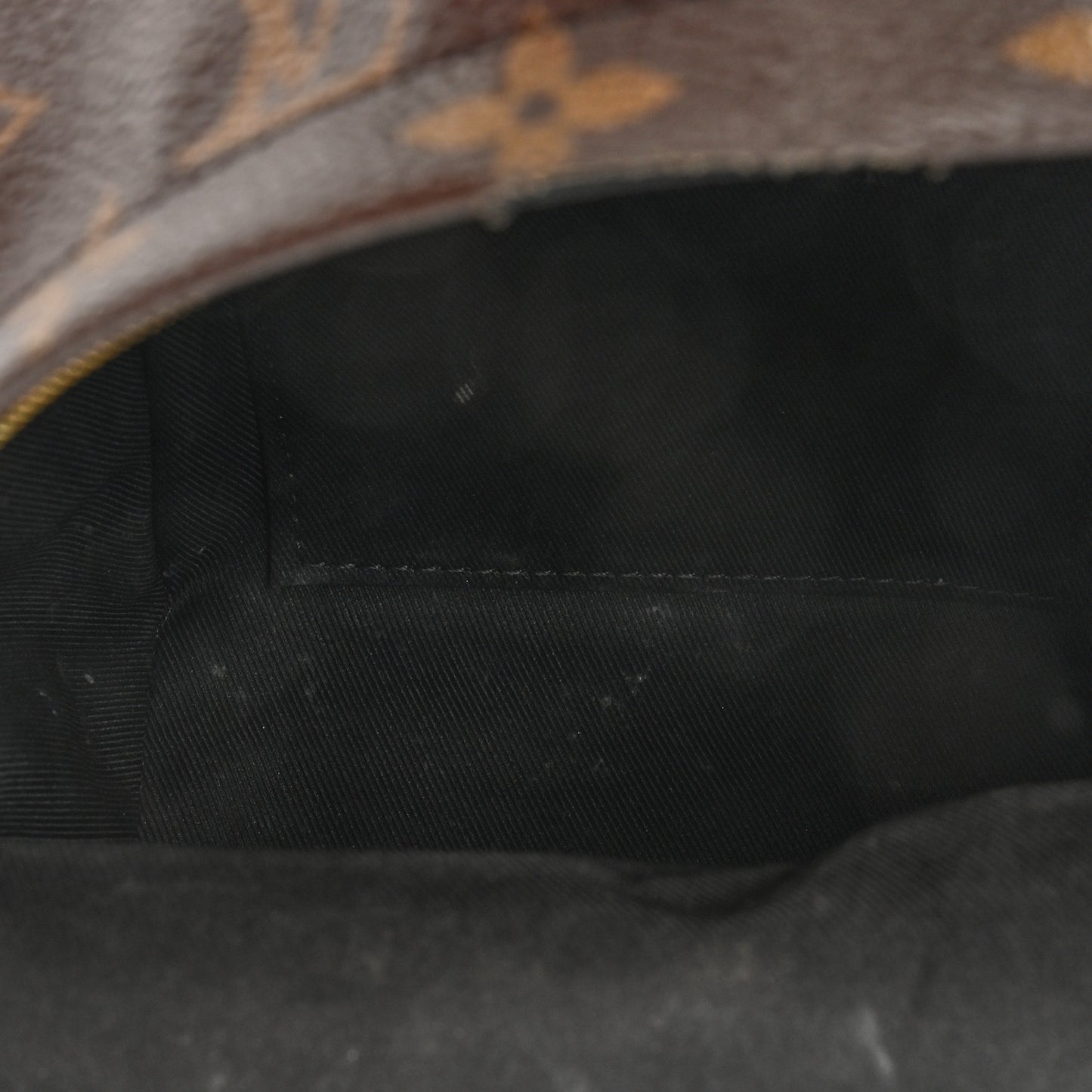 Monogram Palm Springs Backpack Mini