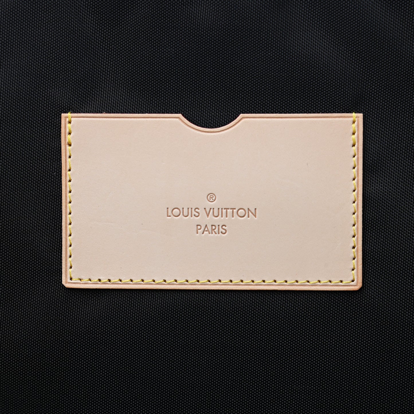 Monogram Pegase 55 Business