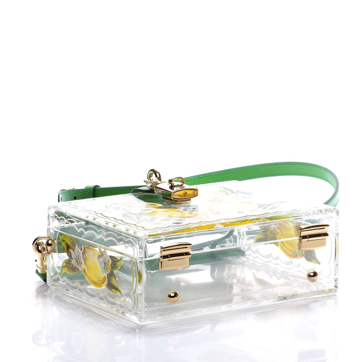 Plexiglass Hand Painted Lemon Shoulder Bag Green
