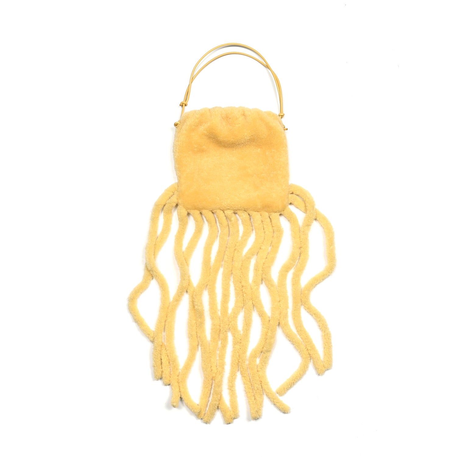 Bottega Veneta Shearling The Fringe Pouch Teddy 1 of 16