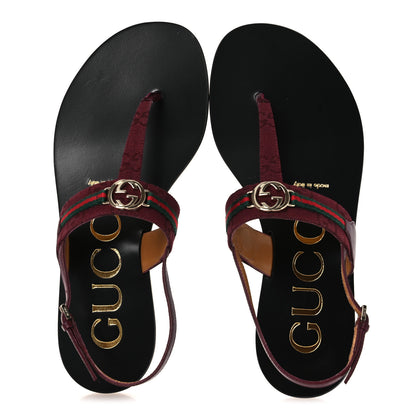 Gucci New Canvas GG Malaga Kid Web Interlocking G Womens Thong Sandals 37 Rosso Ancora 2 of 11