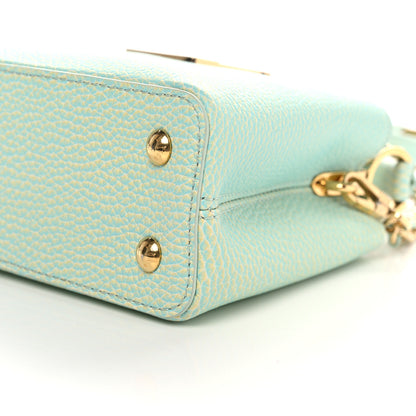 Louis Vuitton Taurillon Summer Stardust Mini Capucines Vert D'eau 12 of 13