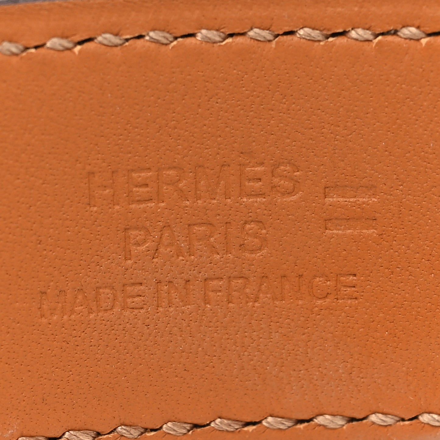 Lizard Collier de Chien CDC 24 Bracelet T2 Ombre