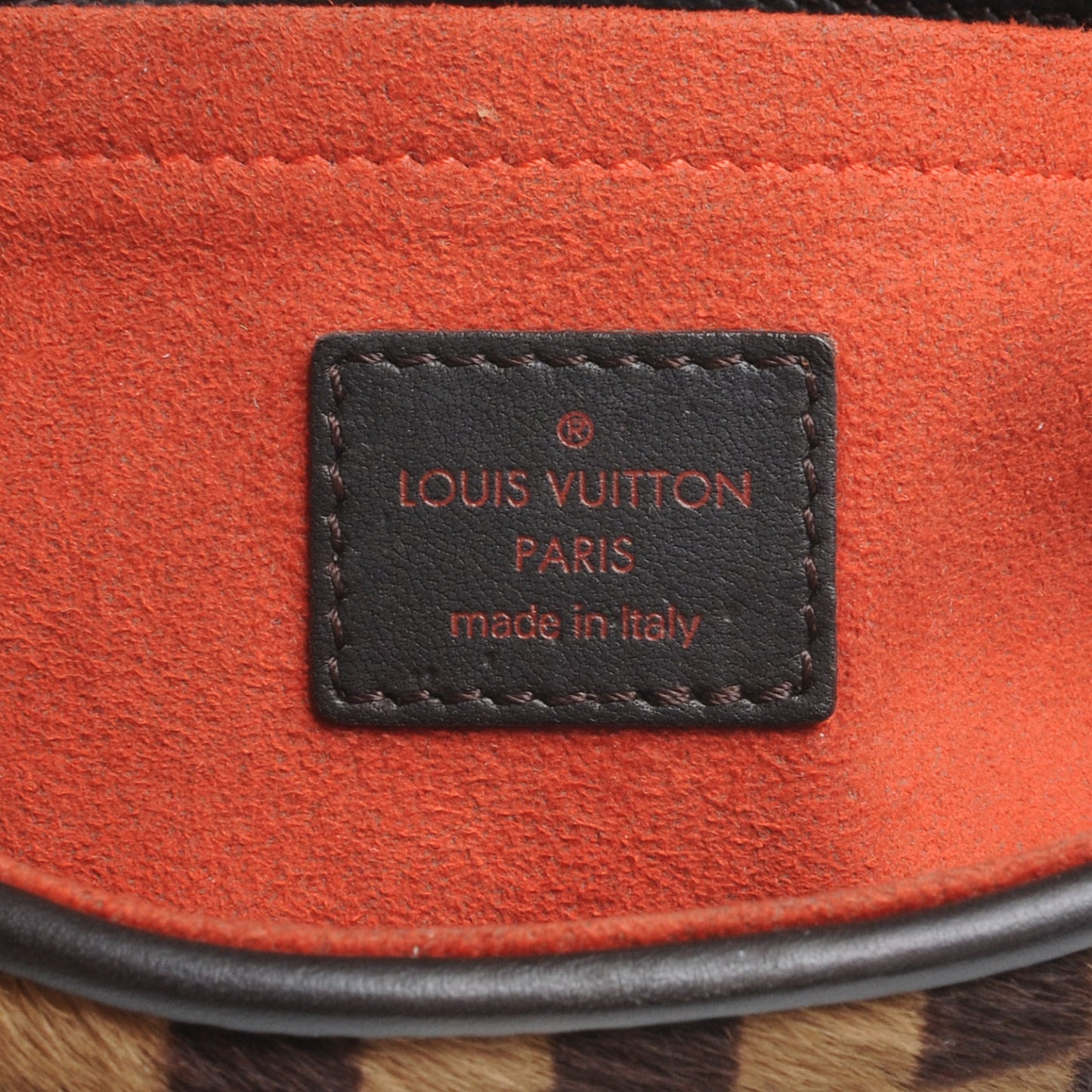 Damier Sauvage Lionne