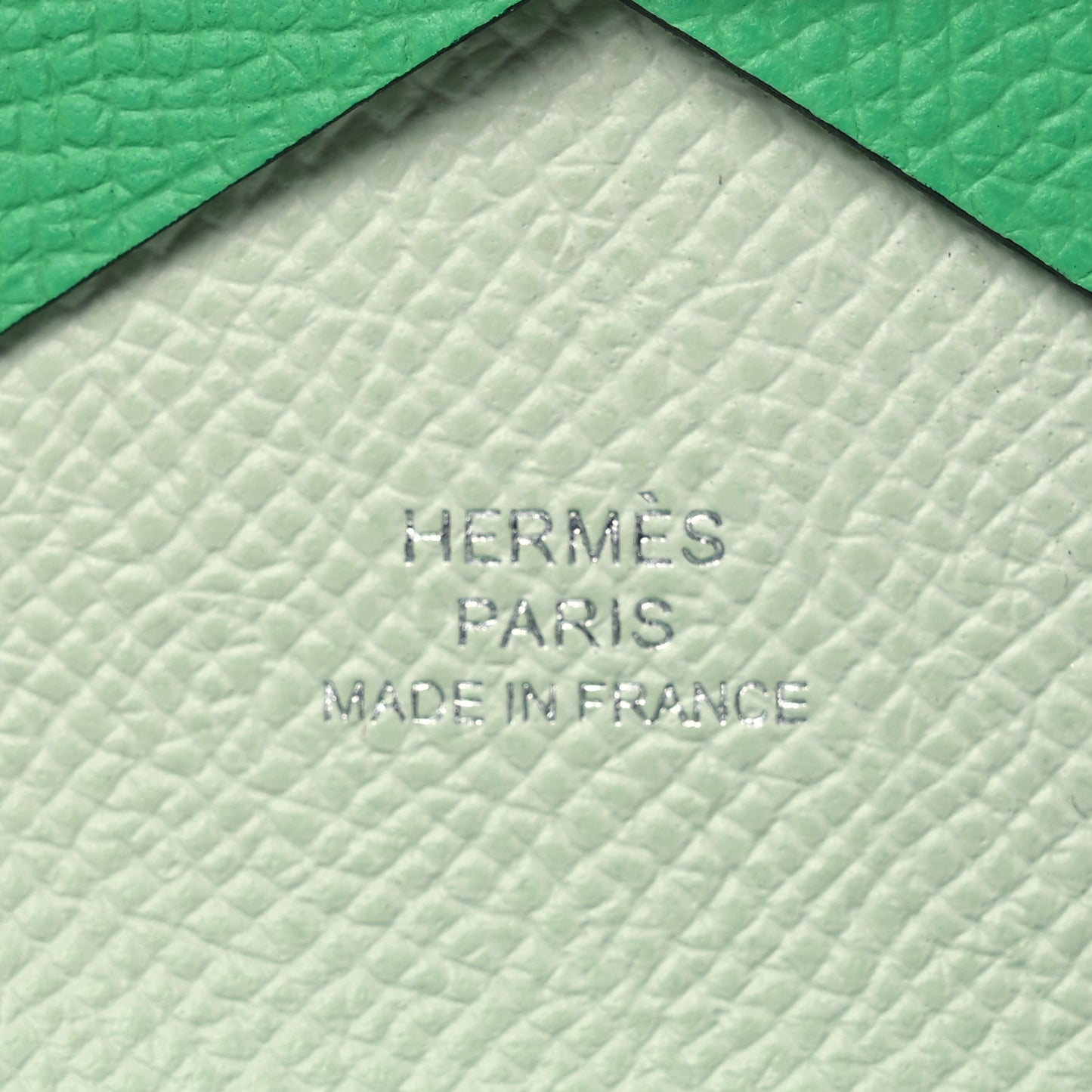 Epsom Verso Calvi Duo Card Case Vert Comics Vert Fizz