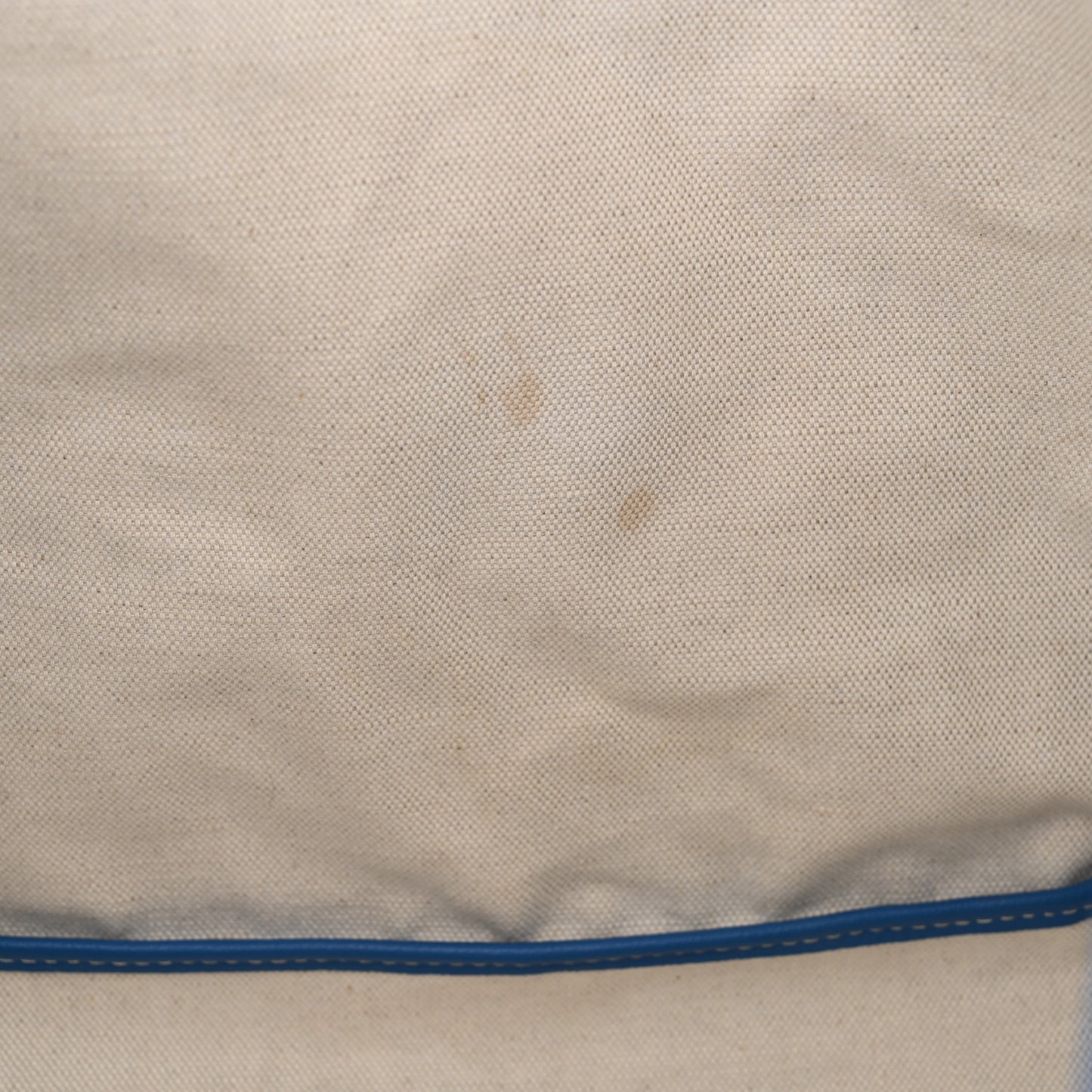 Goyardine Saint Louis PM Sky Blue