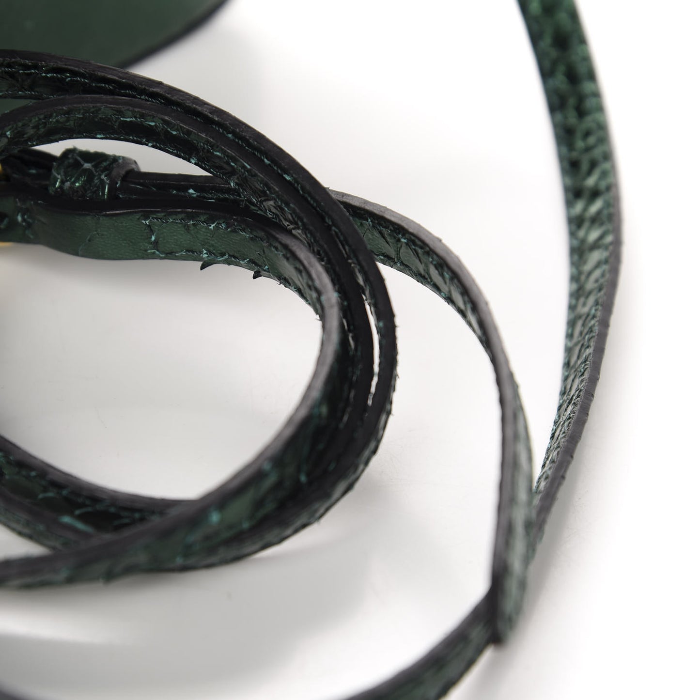 Metallic Snakeskin Mini Berkeley Crossbody Dark Green