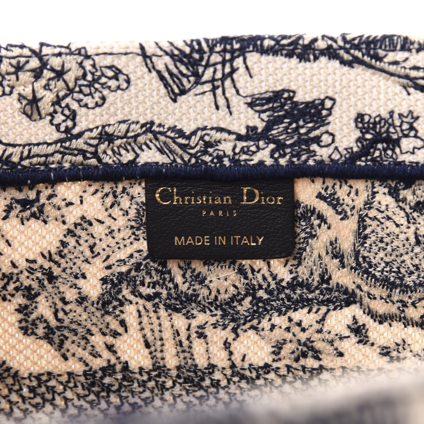 Canvas Embroidered Medium Dioriviera Toile De Jouy Book Tote Blue