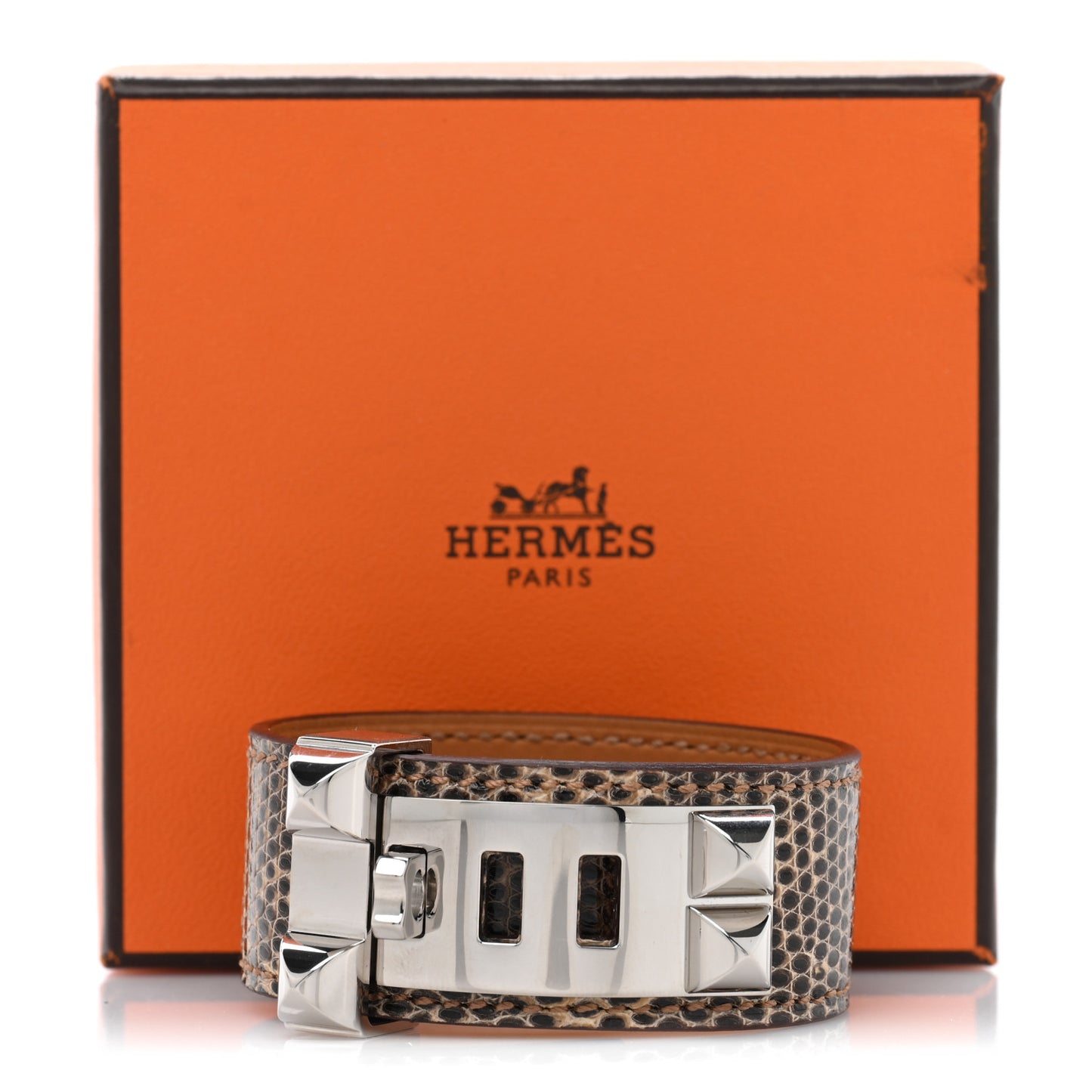 Lizard Collier de Chien CDC 24 Bracelet T1 Ombre