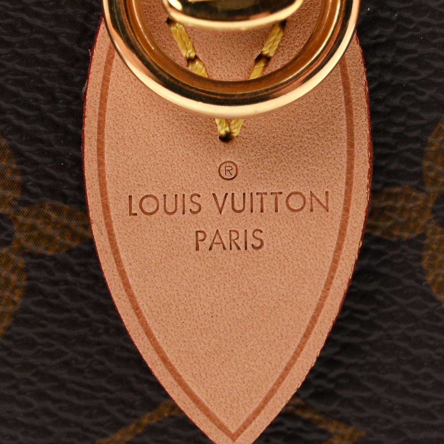 Monogram Speedy Bandouliere 20