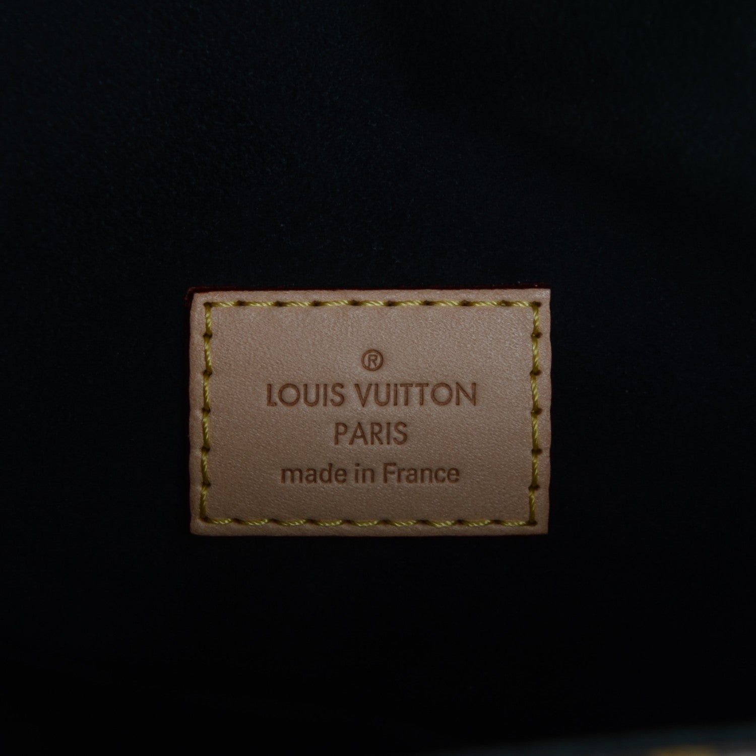 Louis Vuitton Monogram Gaia Black 6 of 7