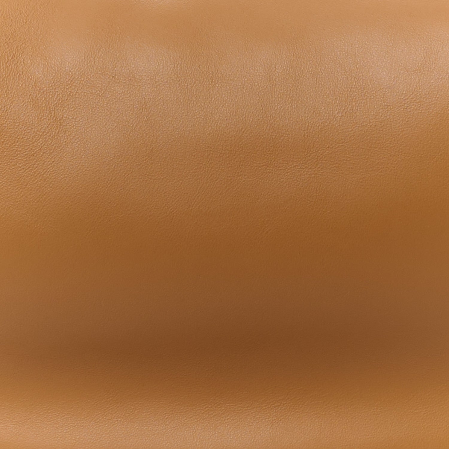Fendi Vitello Grace Matte Medium Fendigraphy Hobo Bag Caramello 9 of 11