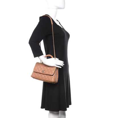 Chanel Caviar Quilted Mini Coco Handle Flap Brown 2 of 11
