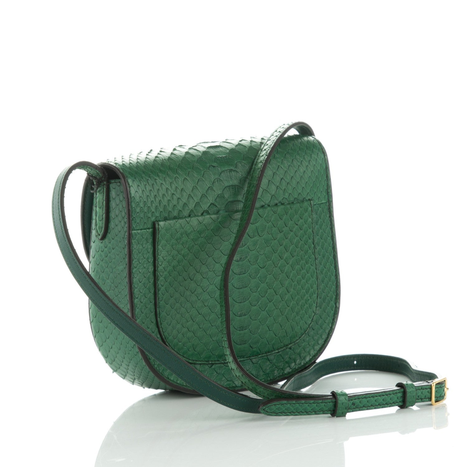 Celine Python Small Trotteur Dark Green 3 of 7