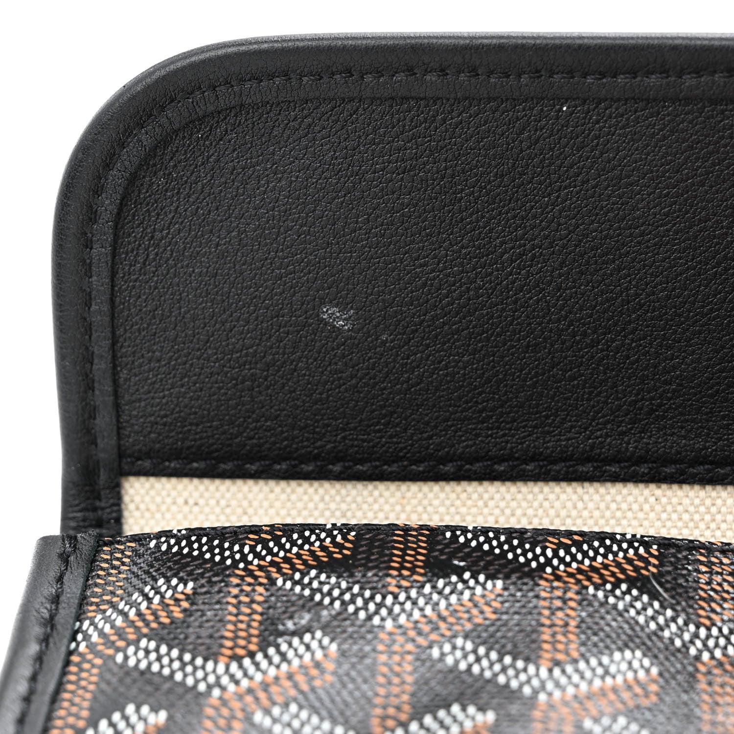 Goyard Goyardine Saint Louis PM Black 17 of 17