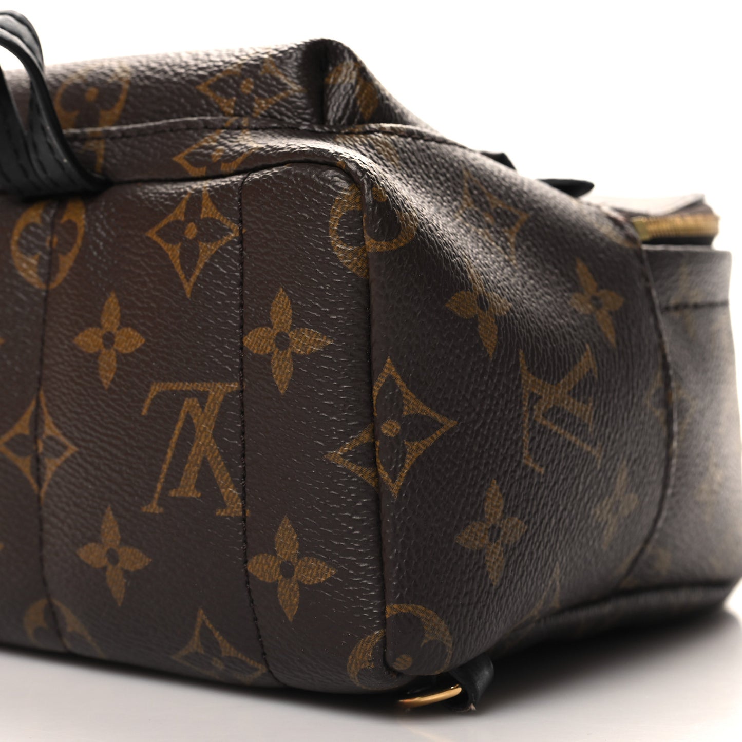 Monogram Palm Springs Backpack Mini