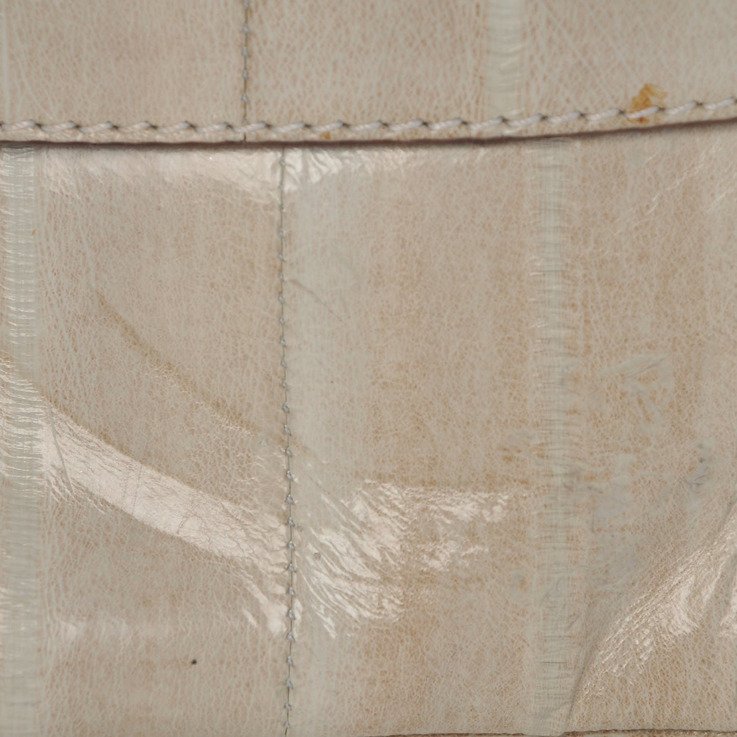 Eel Skin Exotic Jackie O Flap Bag Light Green