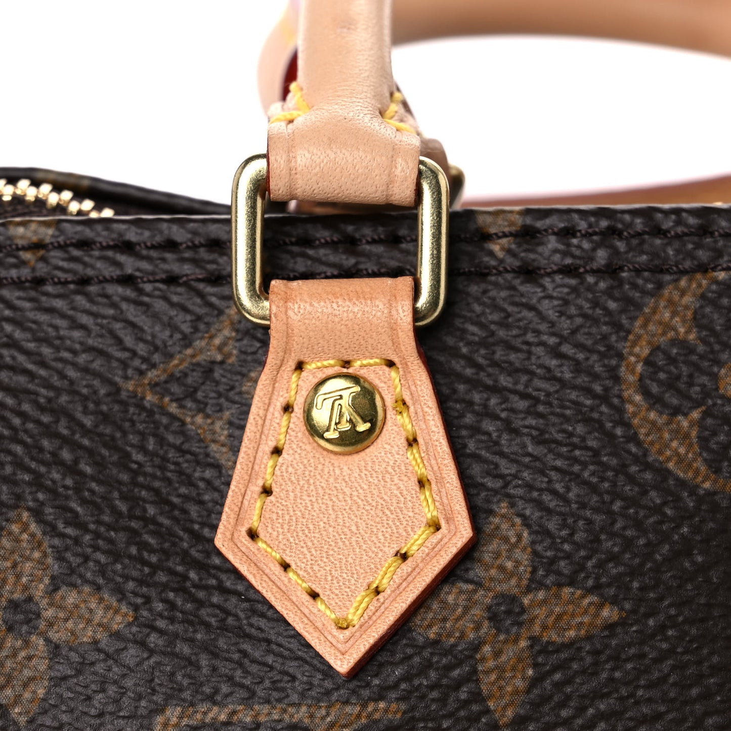 Monogram Nano Speedy