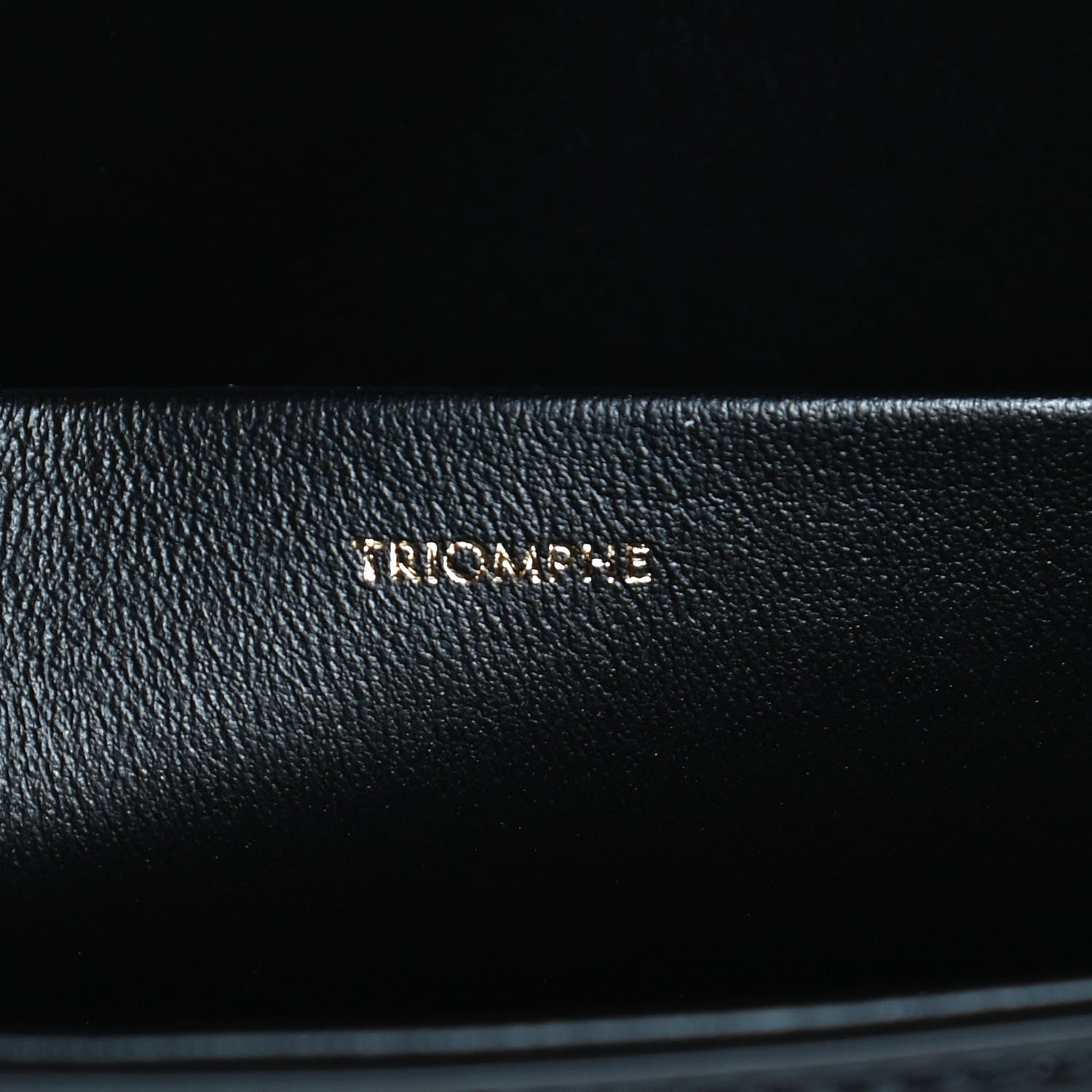 Celine Shiny Calfskin Triomphe Black 7 of 10