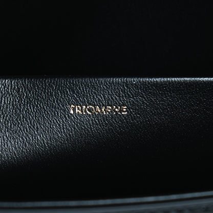 Celine Shiny Calfskin Triomphe Black 7 of 10