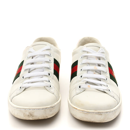 Gucci Calfskin Ayers Bee Embroidered Womens Ace Sneakers 36 White Green 3 of 14