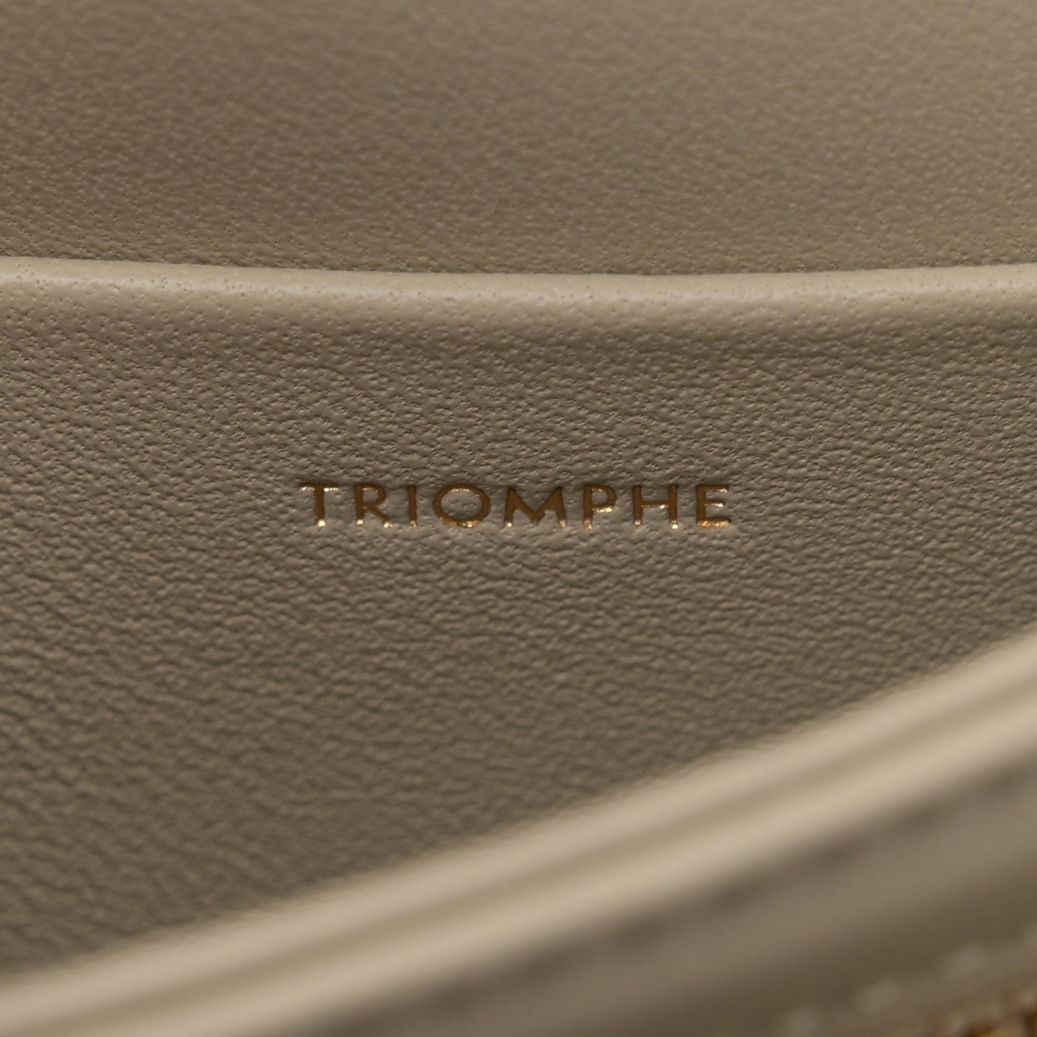 Celine Shiny Calfskin Triomphe Besace Clea Pebble 7 of 11