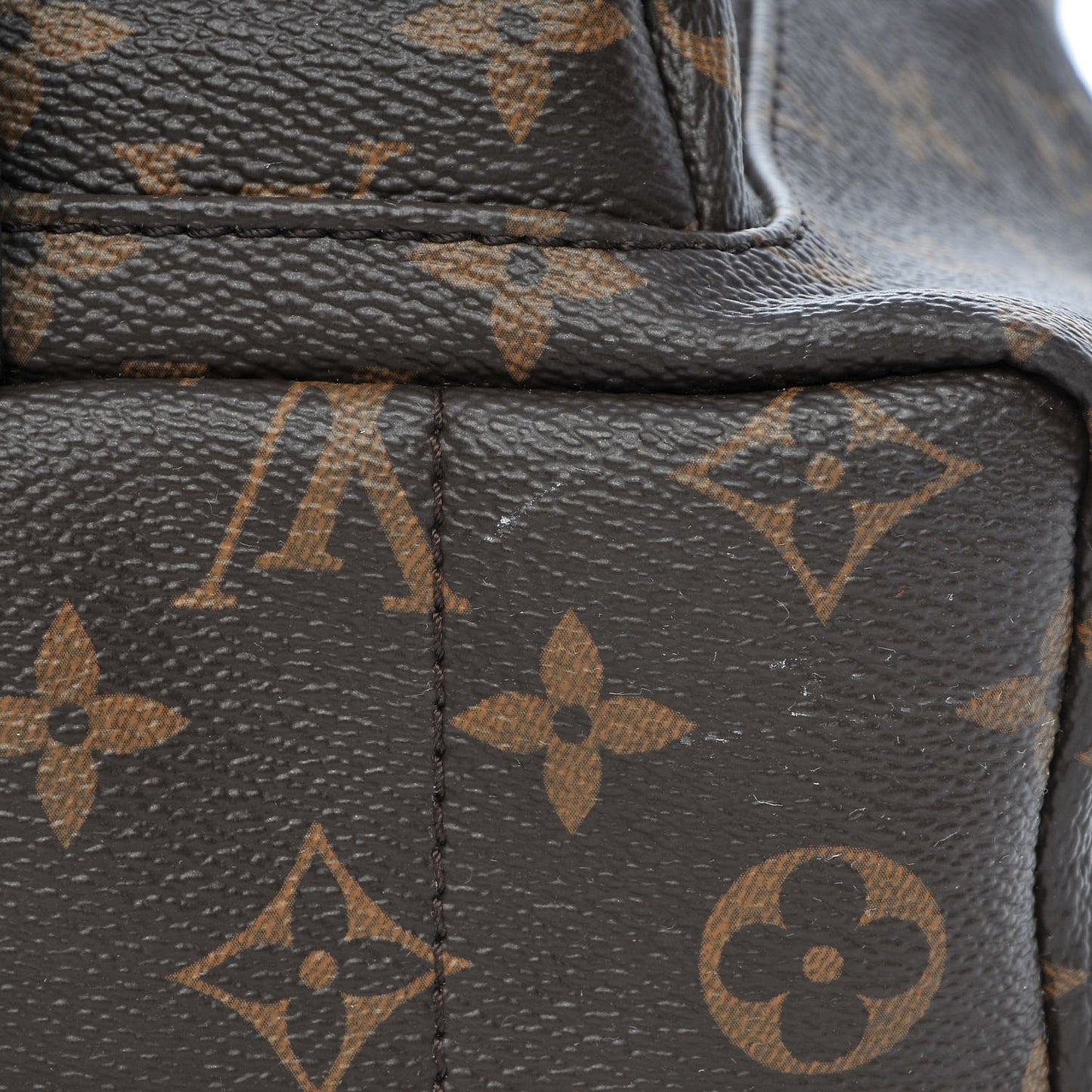 Monogram Palm Springs Backpack PM