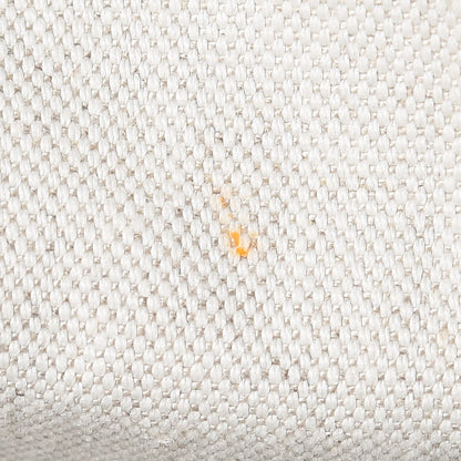 Goyard Goyardine Saint Louis PM Black 11 of 11