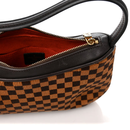 Louis Vuitton Calf Hair Damier Sauvage Tigre 7 of 9
