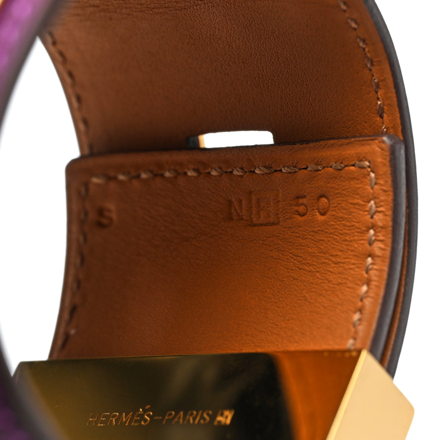Swift Collier De Chien CDC Bracelet S Anemone