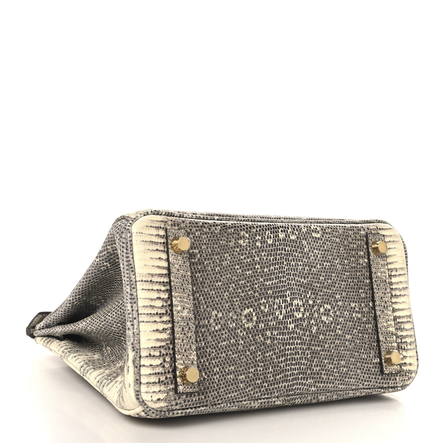 Lizard Birkin 25 Ombre