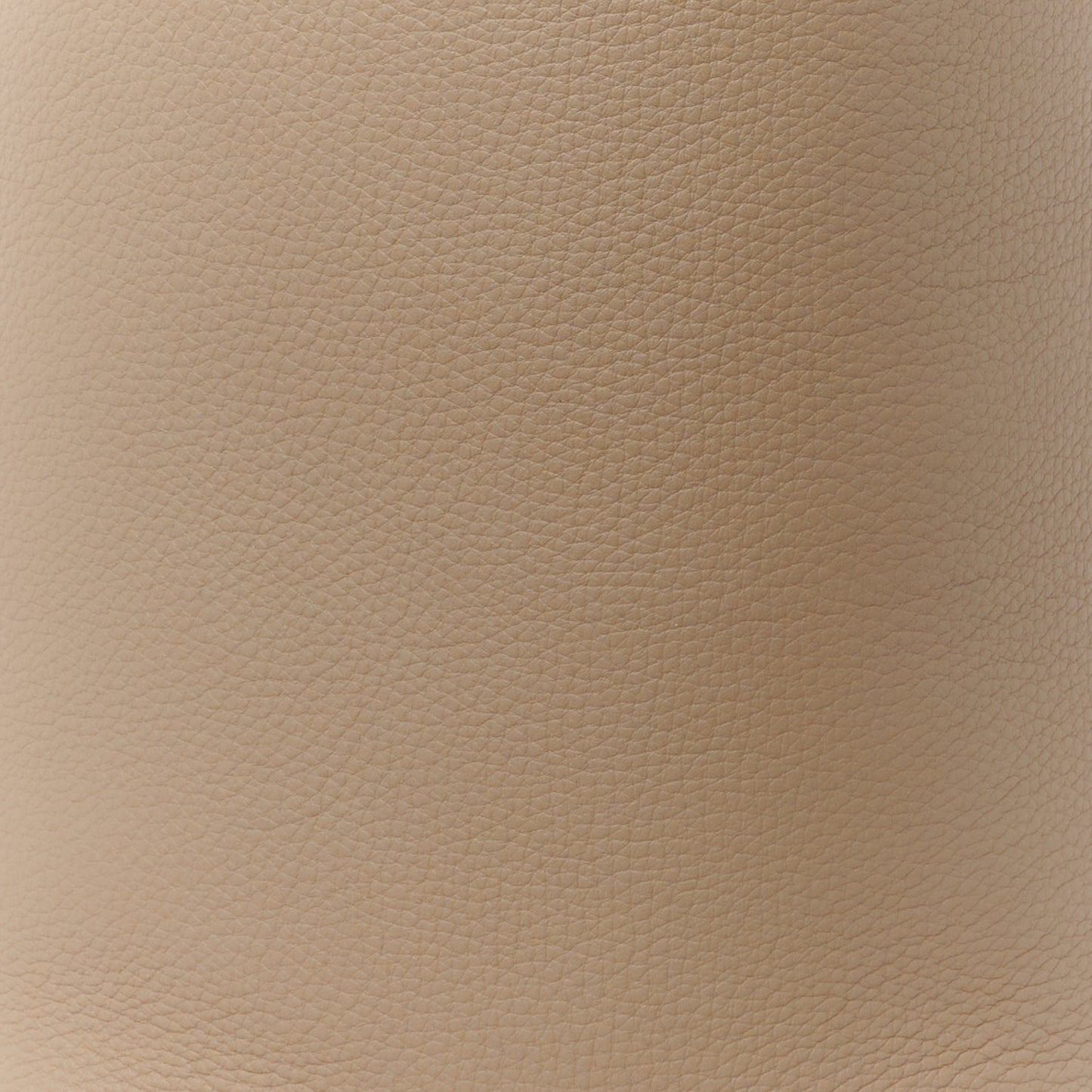 Grained Calfskin Medium N/S Park Tote Dark Taupe
