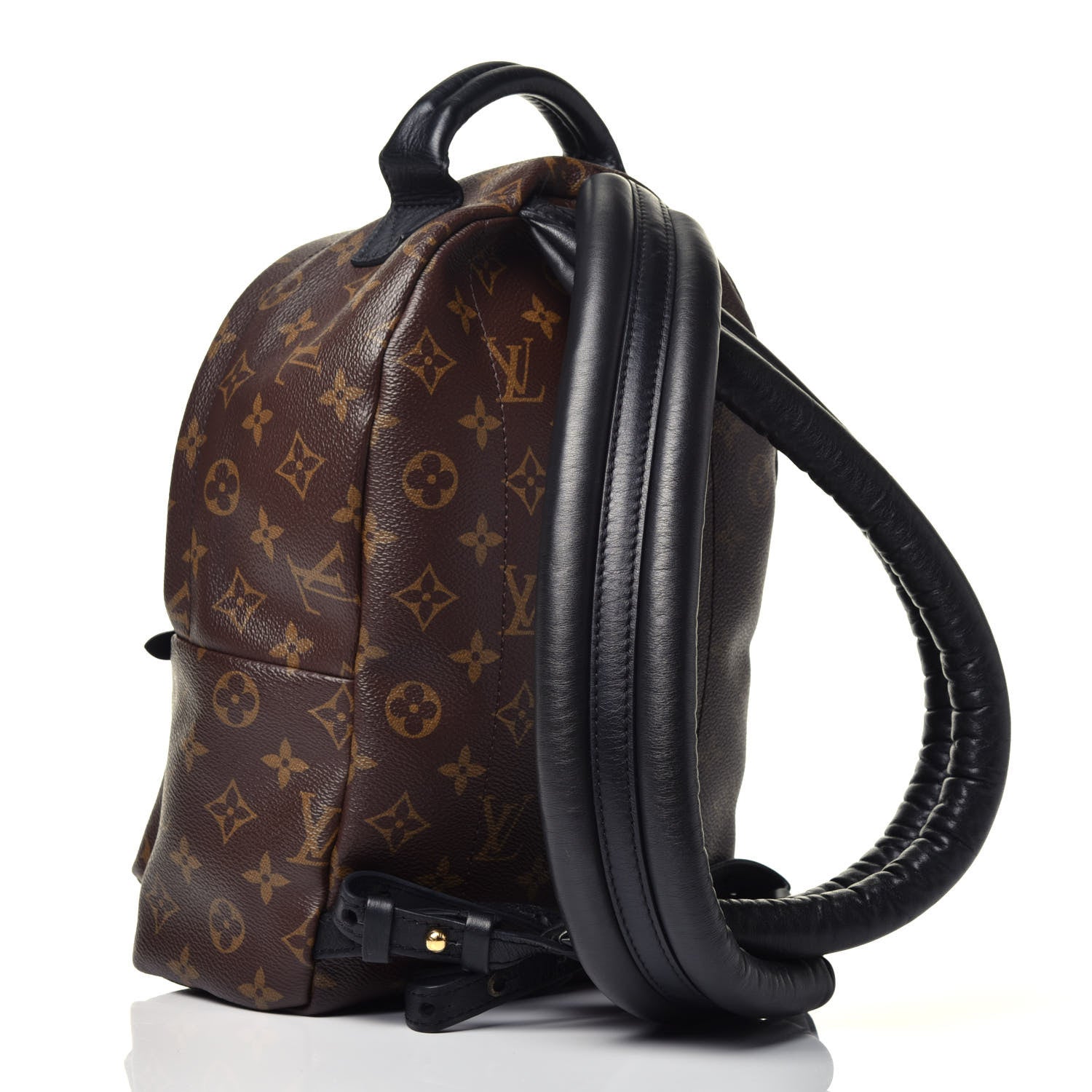 Louis Vuitton Monogram Palm Springs Backpack PM 2 of 8