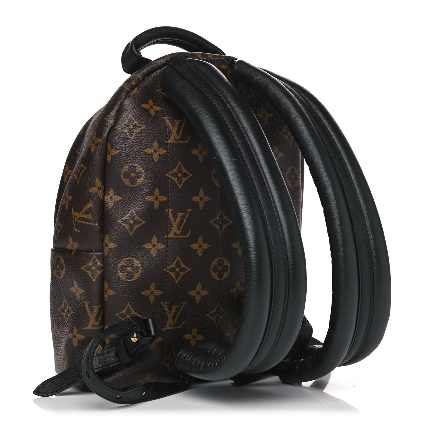 Monogram Palm Springs Backpack PM