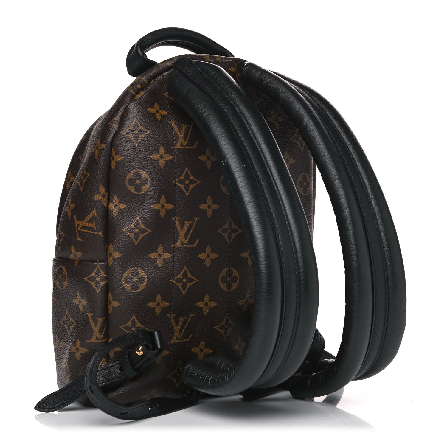Louis Vuitton Monogram Palm Springs Backpack PM 2 of 11