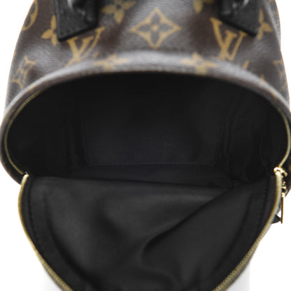 Louis Vuitton Monogram Palm Springs Backpack Mini 5 of 7