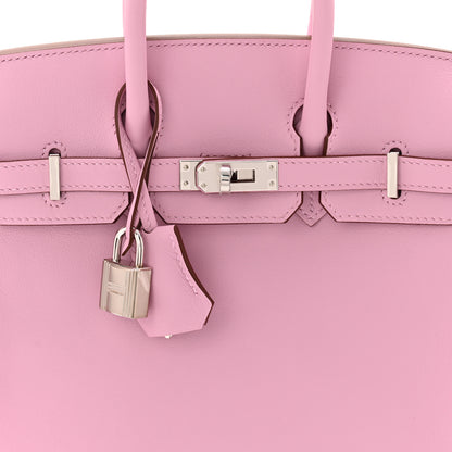 Hermes Swift Birkin 25 Mauve Sylvestre 7 of 12