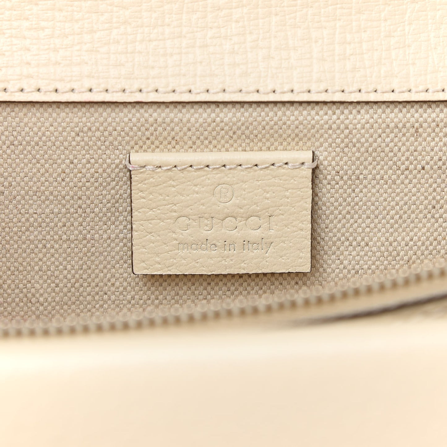 Textured Calfskin Crystal Small Dionysus Shoulder Bag Mystic White