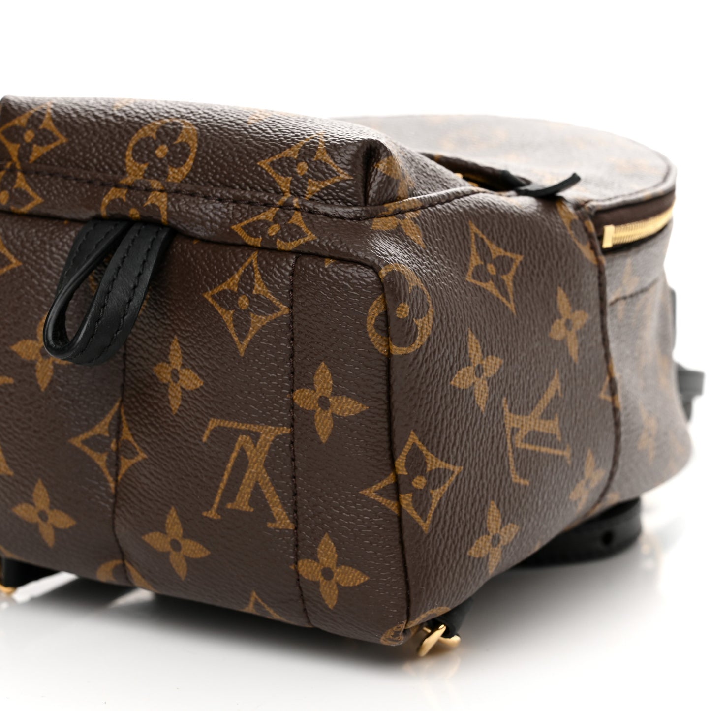 Monogram Palm Springs Backpack Mini