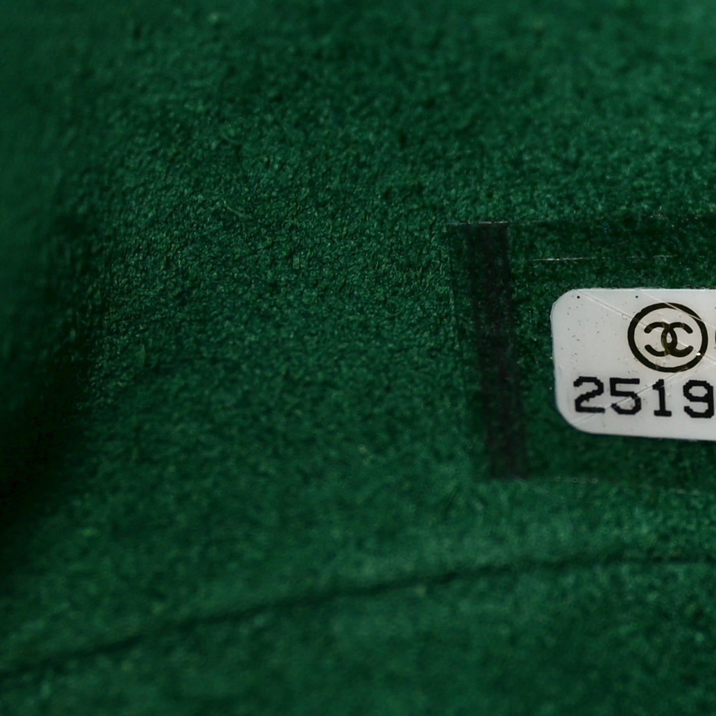 Crumpled Patent Droplet Hobo Green