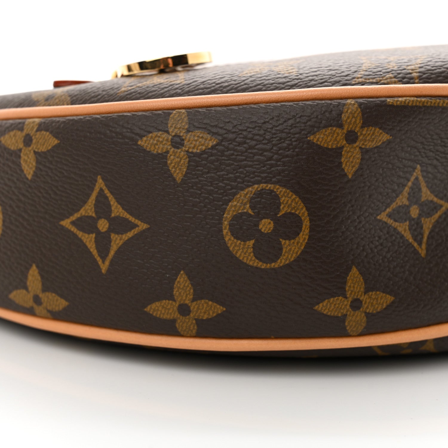 Louis Vuitton Monogram Loop 8 of 9
