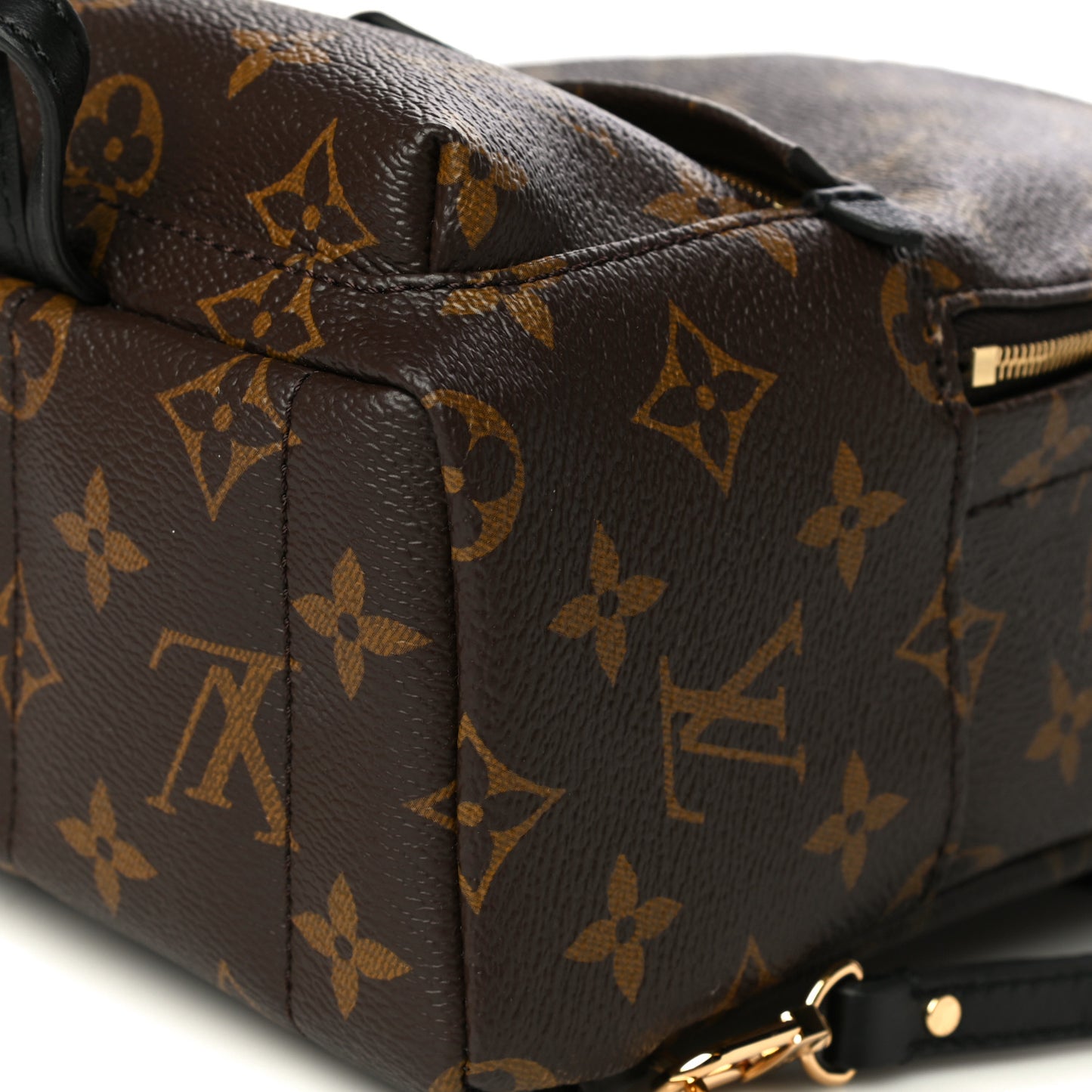 Monogram Palm Springs Backpack Mini