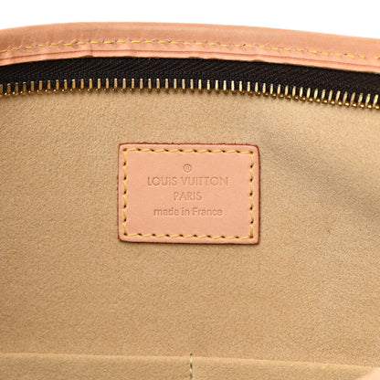Louis Vuitton Monogram Estrela MM 6 of 16