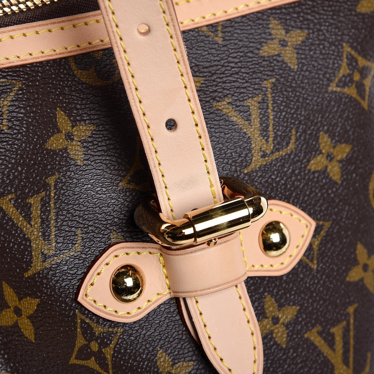Louis Vuitton Monogram Palermo GM 19 of 20