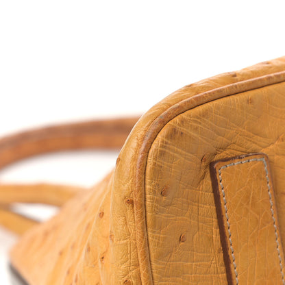 Prada Ostrich Frame Bowler Soleil 9 of 23