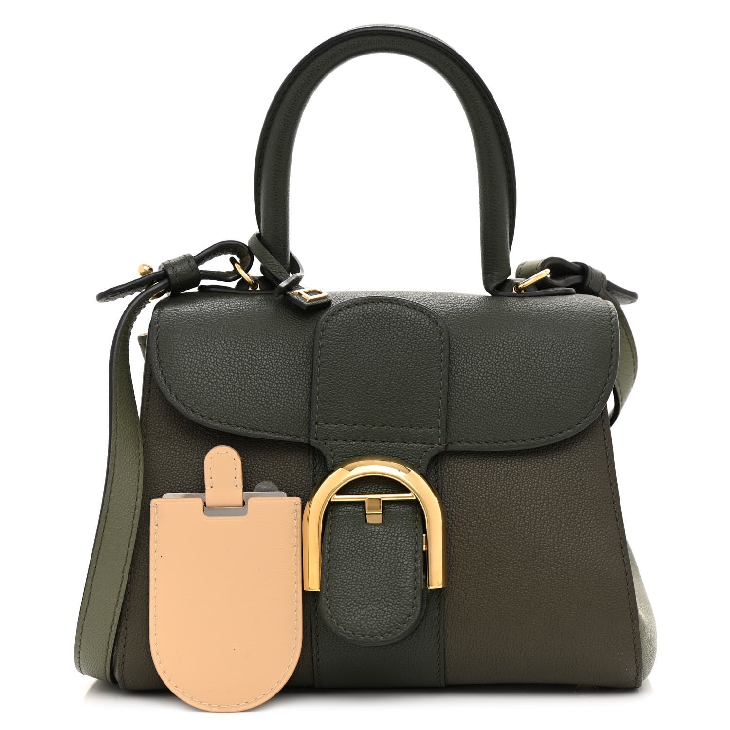 Delvaux Grained Rodeo Calfskin Mini Brillant Camaieux Satchel Kaki 1 of 9
