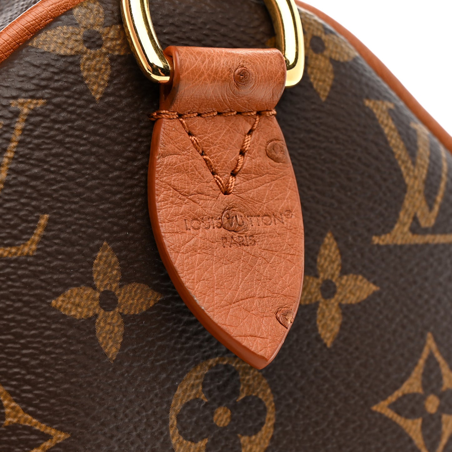 Monogram Speedy Soft 30 Boho
